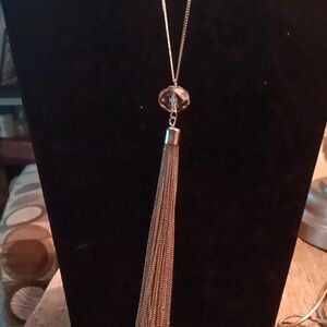 Paparazzi Silver Tassel Necklace with Metallic Bead